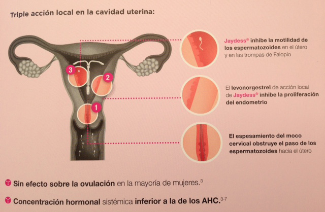 MECANISMOS DE ACCION