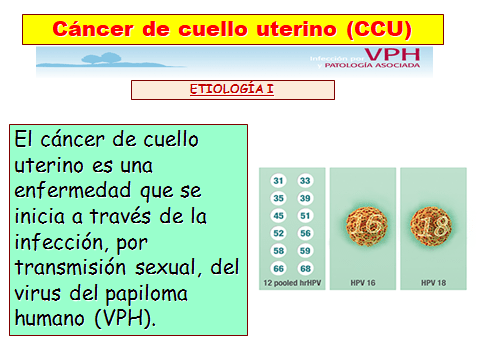 PREVENCION DEL CANCER DE CERVIX-2jpg