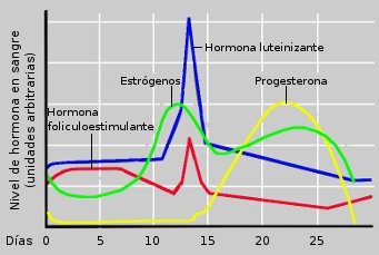 CICLO HORMONAL-2