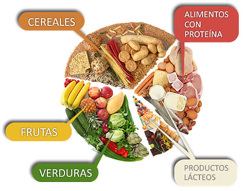 ALIMENTOS. EMBARAZO