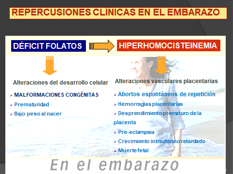 FOLATOS Y EMBARAZO.1