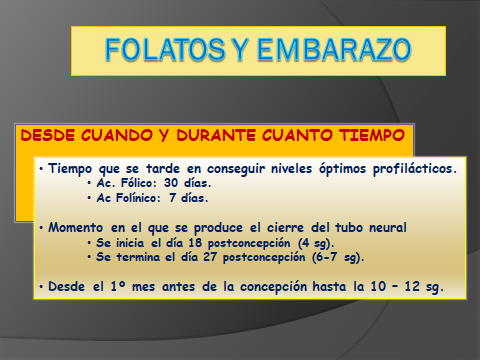 FOLATOS Y EMBARAZO.8