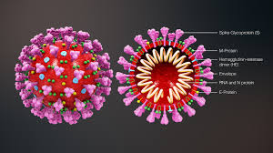 CORONAVIRUS-0