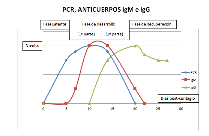 GRAFICA PCR Y ANTICUERPOS